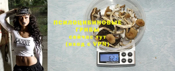 PSILOCYBIN Белоозёрский